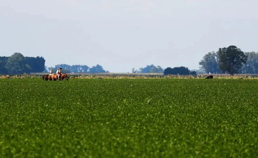 Agro argentino, en pie de guerra contra Gobierno tras cierre de exportaciones derivados de soja