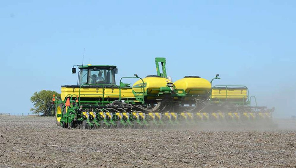 Aumenta la intención de siembra de girasol en unas 50 mil hectáreas