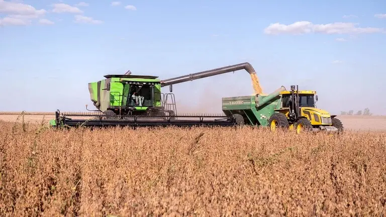 Cuáles son los sectores del agro que más y menos exportaron durante 2021