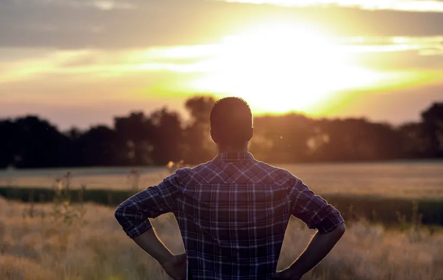 Encuesta SEA: mejoran las expectativas en el agro, pero con reservas