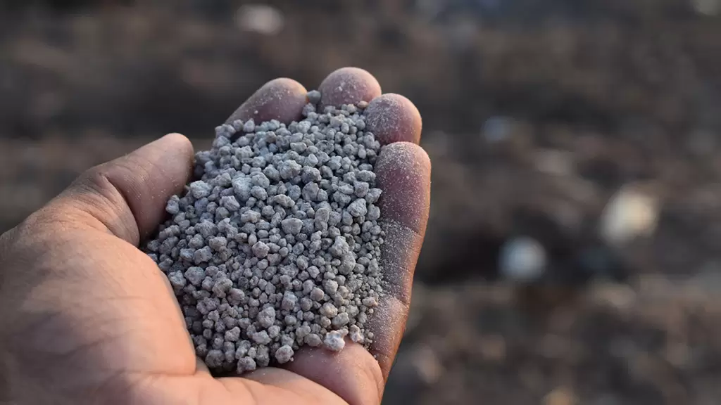 Fertilización en fina: estrategias para una campaña reñida