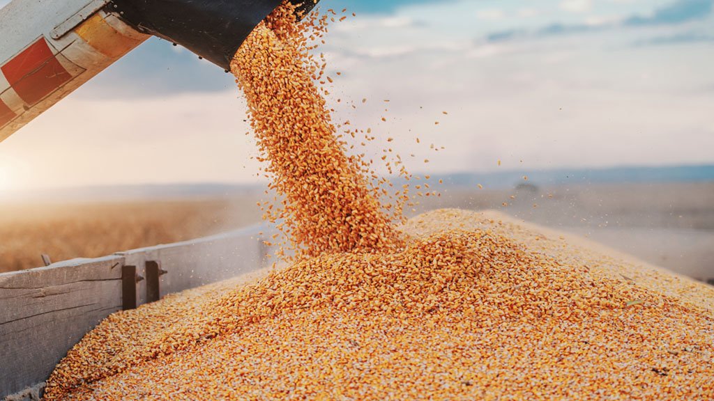 Los Fondos toman ganancia y empujan los precios de granos al alza