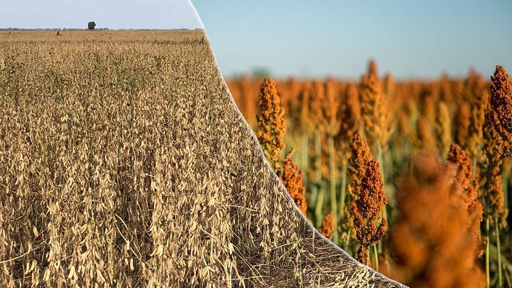 Los precios a cosecha de la nueva campaña condicionan aún más las decisiones de siembra