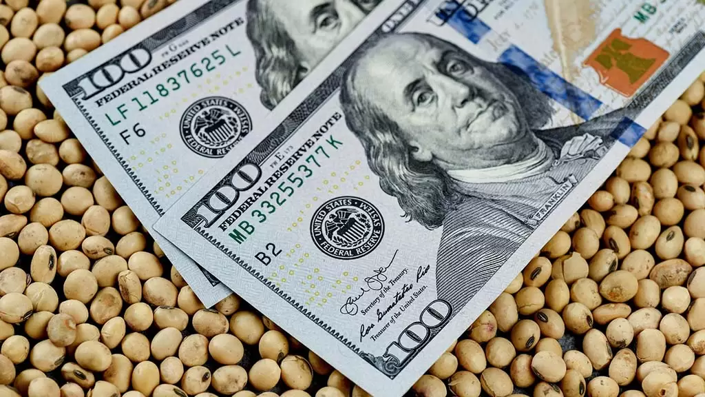 Los subproductos de soja lideraron las ventas externas bajo el esquema de retenciones cero, con más de 7 millones de toneladas