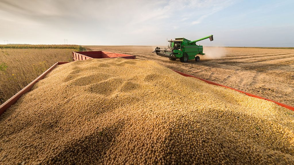 Presiona la cosecha local, con buenas noticias en soja y algunas preocupantes para el maíz