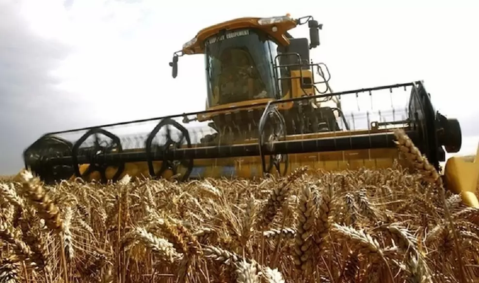 Trigo: Será una megacampaña